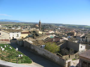 El actual Almudévar, pueblo de la provincia aragonesa de Huesca, donde nació el V. P. Mariano.